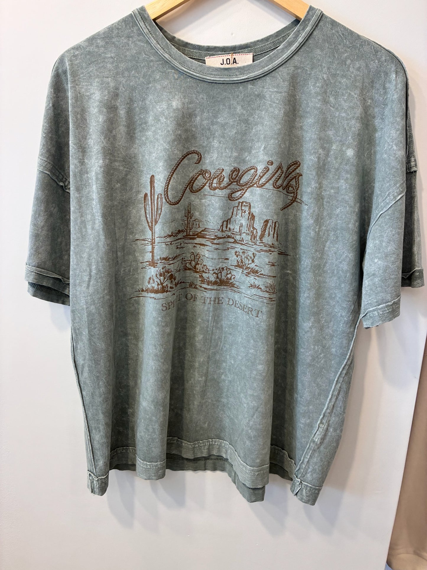 Desert Spirit Graphic Tee (Sage Wash)