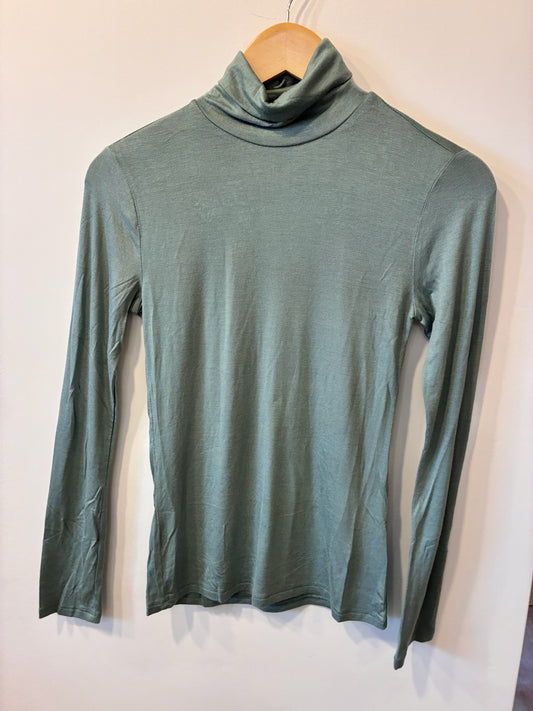 Essential Soft Turtleneck (Teal)