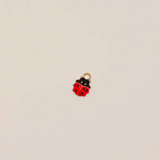 Lady Bug