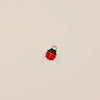 Lady Bug